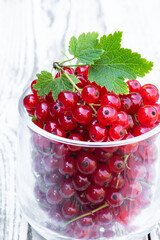 Fresh red currant berry in clear glass mug isolated on white
