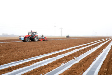 Farmers drive seeders to plant Plastic Mulched corn on the farm.