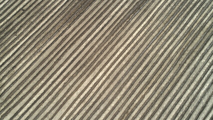 Natural landscape of farmland in North China Plain, aerial photos