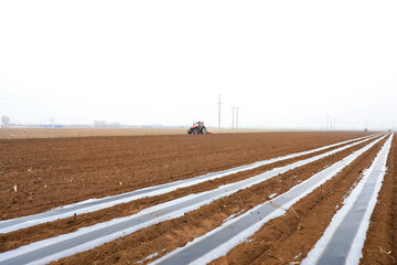 Farmers drive tractors to level up the land for planting corn on the farm.