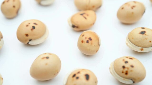 angle view herb ChaoBaiBianDou or Lablab Semen Album or Stir Fried White Hyacinth Bean rotating