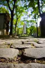 Fototapeta na wymiar cobblestones in cemetery