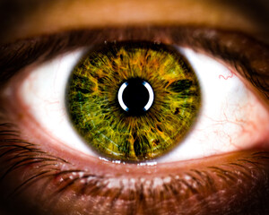 Green Eye