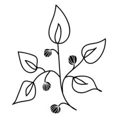 Fototapeta premium Hand drawn branch with leaves. Doodle vector illustration. Isolated icon on the white background. EPS 10.