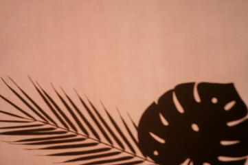 Monstera and palm leaves shadows on Coral.