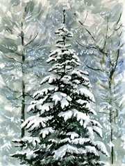 Watercolor postcard, winter spruce hand drawing