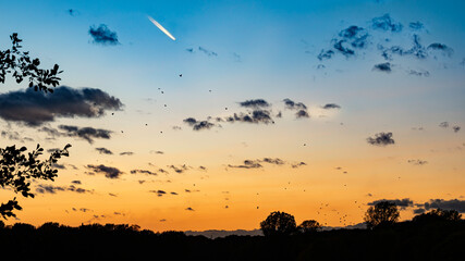 Sommerabend Himmel