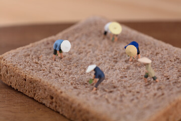 A model of a farmer working on a slice of bread