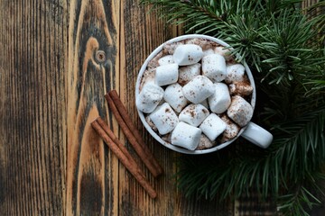 Cup of hot chocolate or cocoa with marshmallows. Cozy winter holidays and Christmas