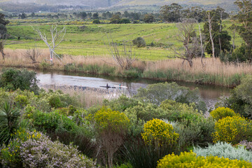 Elevated view of flowering plants and shrubs on a slope, two kayakers on a narrow river and grassland. 
