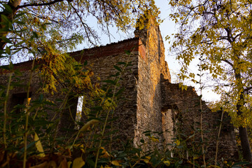 Fototapeta premium Franciscan monastery ruins on Margaret Island