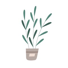 Green houseplant growing in pot. Home plant with leaves in flowerpot. Tall stem with leaf in planter. Foliage decoration for house interior. Flat vector illustration isolated on white background