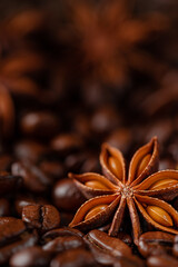 Anise star on roasted coffee beans background. Macro shot, copy space