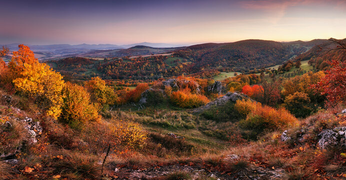 Majestic particolored forest with sunny beams. Natural park. Dramatic unusual scene. Red and yellow autumn leaves. Carpathians, Slovakia - Europe. Beauty world.