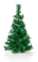 Undecorated Christmas tree isolated on white background.