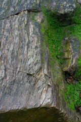 Wet rokcs  and water with moss a on low tide