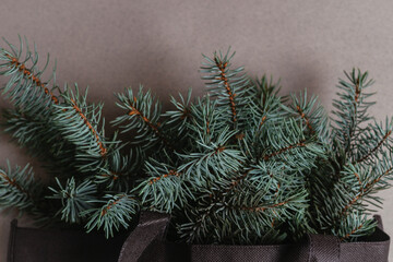  Bouquet made of coniferous, fir tree branches in bag on gray background. Christmas composition. New year concept. Top view, copy space.