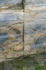Shiny colorful wet rock a on low tide