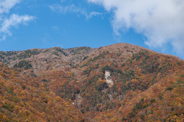 秘境の紅葉　畑薙湖