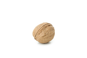 Walnut isolated on white background, close up