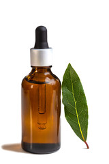 Generic image-Laurel essential oil with laurel leaf