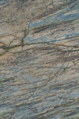 Shiny colorful wet rock a on low tide