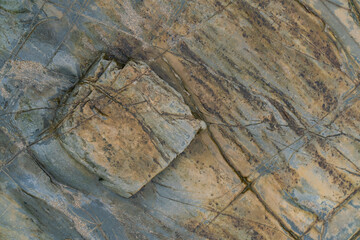 Shiny colorful wet rock a on low tide