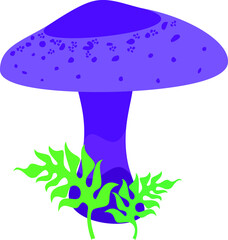 pale toadstool mushroom