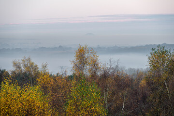 Golden autumnal fall tree and leaf colours at the Downs Banks, Barlaston in Staffordshire.