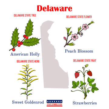 Delaware. Set Of USA Official State Symbols