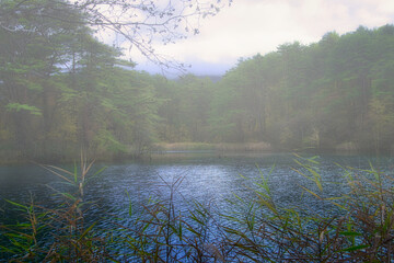 しっとりとした空気感が素晴らしい、福島・裏磐梯・五色沼の美しい風景