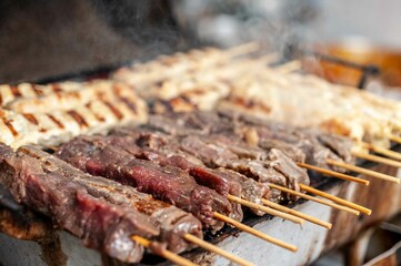 grilled meat on the barbecue