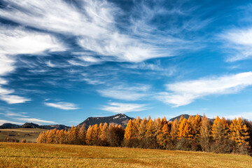 Autumn country landscape with clouds on sky