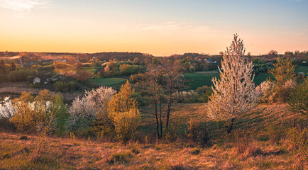 Fototapeta premium Spring evening landscape