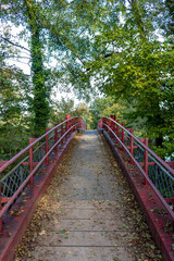 Red wooden bridge in the forest