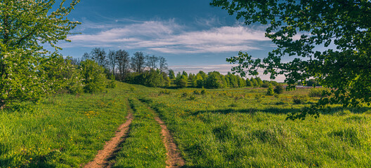 Naklejka premium Summer landscape