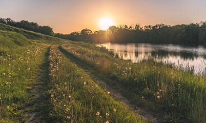 Nature beauty