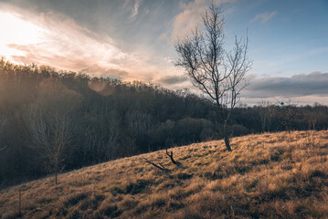 Faded nature in late summer and autumn