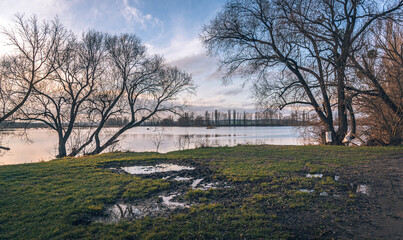 Faded nature in late summer and autumn