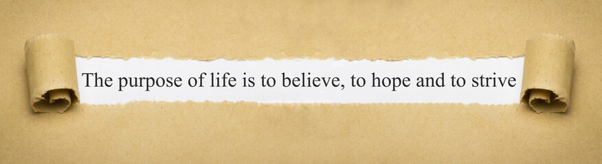 The purpose of life is to believe, to hope and to strive