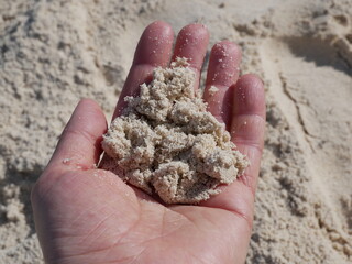 A woman's hand holds a handful of sand against the background of the shore on a sunny summer day on a summer vacation. Nails without manicure
