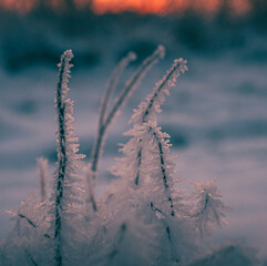 Ice in winter