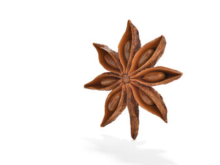 Side view of star anise facing the space for your text
