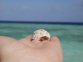 A woman's hand holds a small shell against the background of ocean waves on a sunny summer day on a summer vacation. Nails without manicure