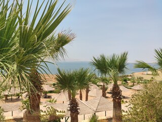 Fototapeta na wymiar Plage et hôtel près de la mer Morte, avec quelques arbustes et de la verdure, des tentes et des transats, forte chaleur, vide et décor exotique, en Jordanie. . 