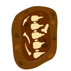 Bone and ridge in ground. Hole in soil. Archaeological discovery.