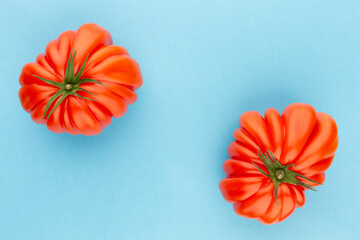 Tomato on the color background.