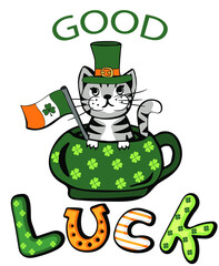 St. Patrick's Day cute cat in green hat with good luck text and Irish flag. Cartoon vector  illustration for cards, decor, shirt design, invitation to the pub.