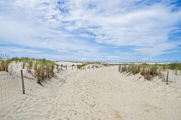 Acces to the beach. Sandy dunes walkway. Way to the beach in France.