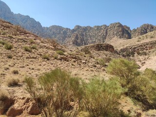 Fototapeta na wymiar Dana, la plus grande réserve naturelle de Jordanie, marche en plein milieu d'une zone montagneuse rouge et blanche, avec un peu de verdure et de la forte chaleur, sans ombre, quelques arbustes vertes